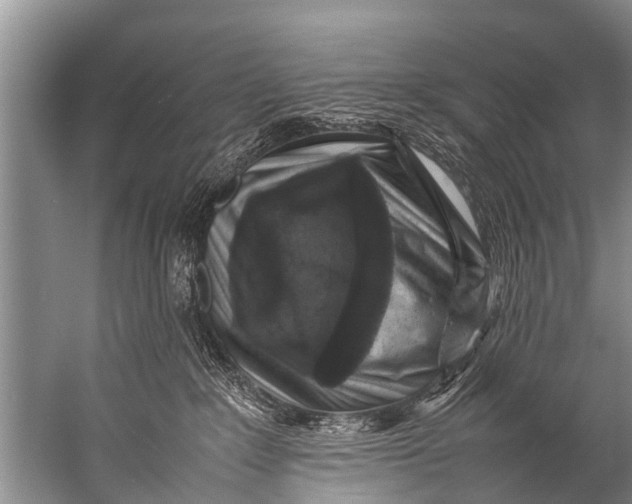 X0000057080235200510010208