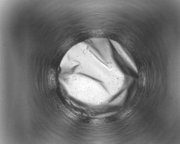 X0000057080238200510010208