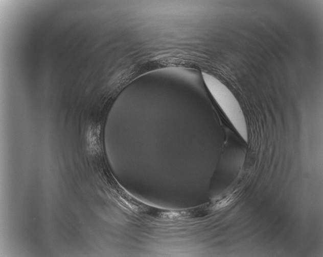 X0000057080239200510010207