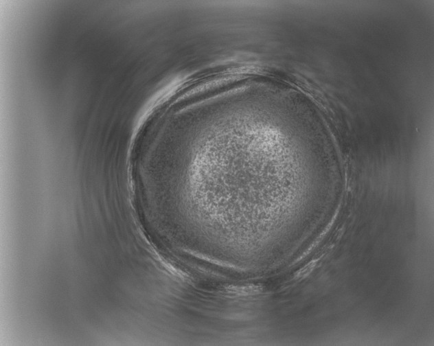 X0000057080245200510010207