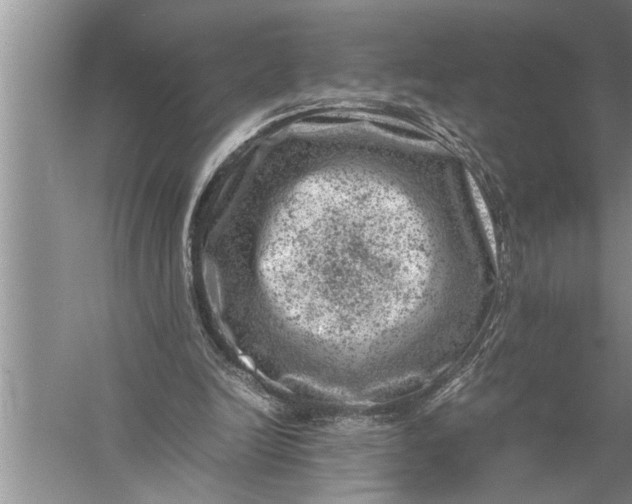 X0000057080246200510010207