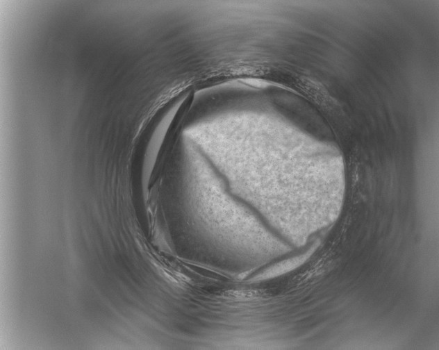 X0000057080250200510010207