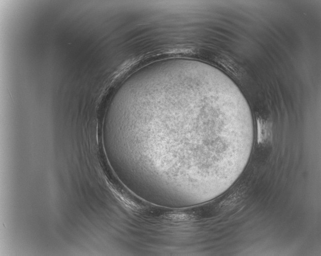 X0000057080253200510010207