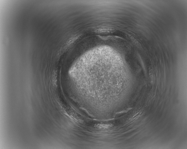 X0000057080255200510010207