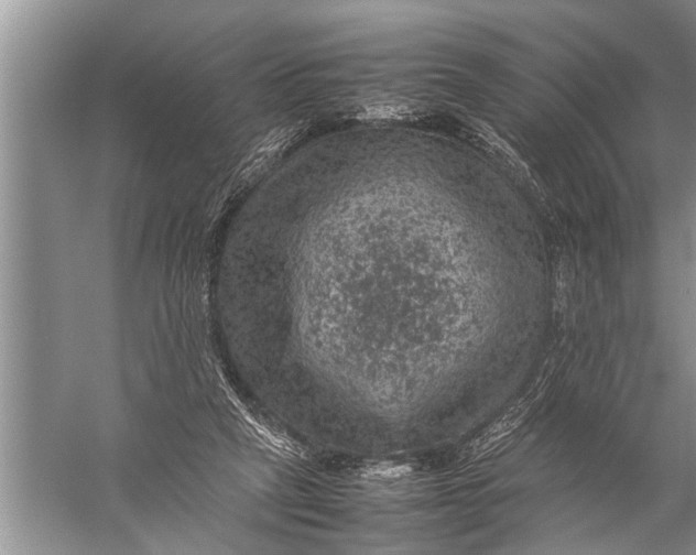 X0000057080257200510010207