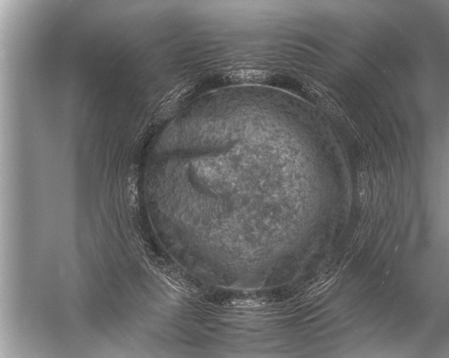 X0000057080259200510010207