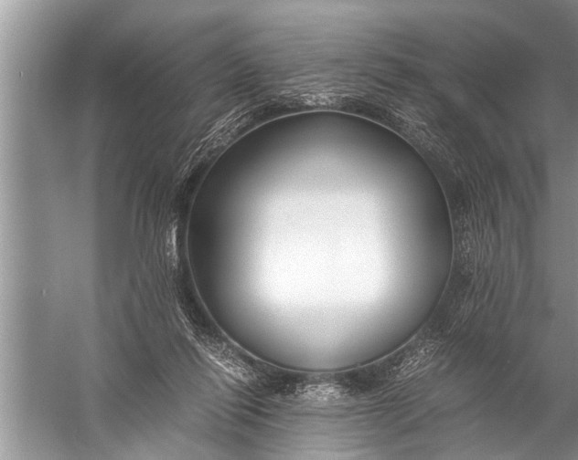 X0000057080262200510010207