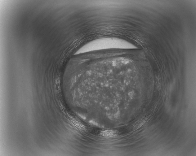 X0000057080269200510010207