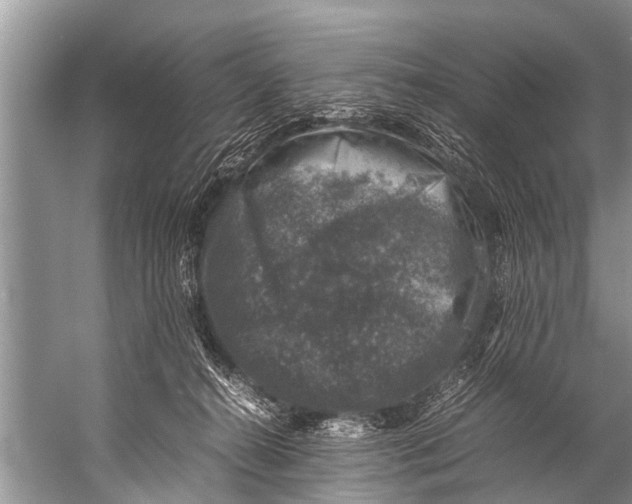 X0000057080272200510010207