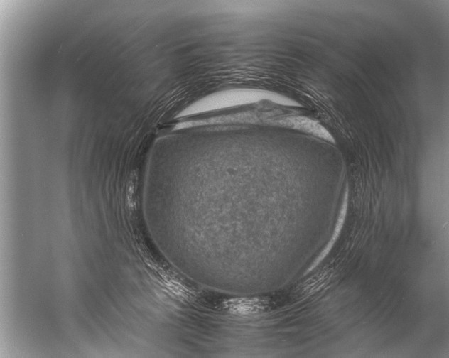 X0000057080273200510010207