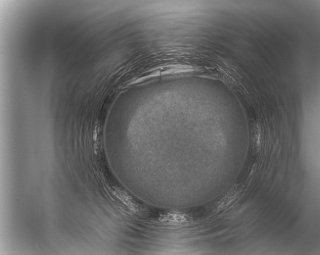 X0000057080276200510010207