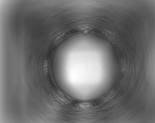 X0000057080279200510010207