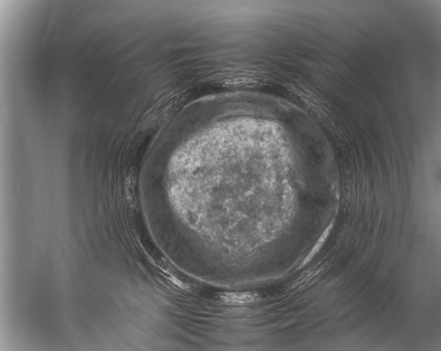 X0000057080281200510010207