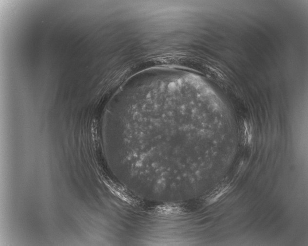 X0000057080284200510010207