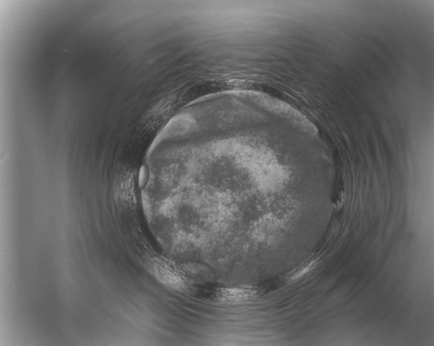 X0000057080286200510010207