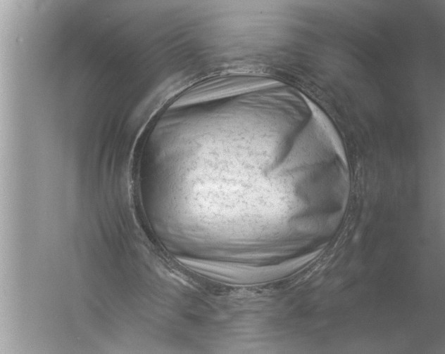 X0000057080290200510010207