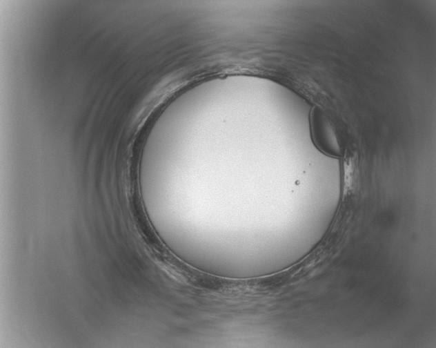 X0000057080291200510010207