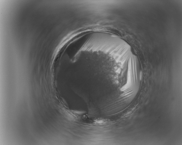 X0000057080295200510010207