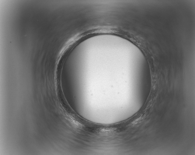 X0000057080296200510010207