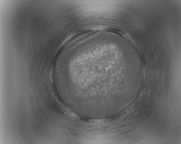 X0000057080297200510010206