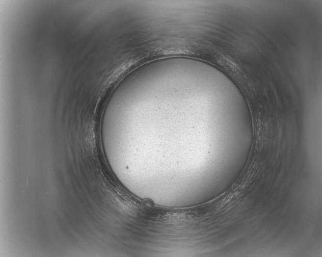 X0000057080298200510010206