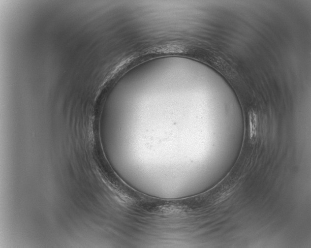 X0000057080300200510010206