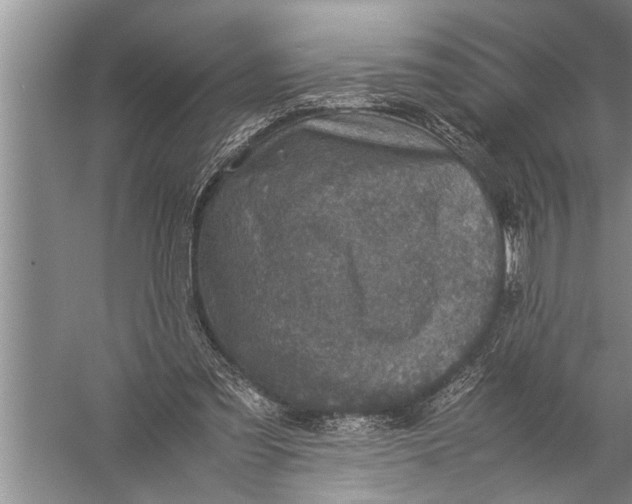 X0000057080301200510010206