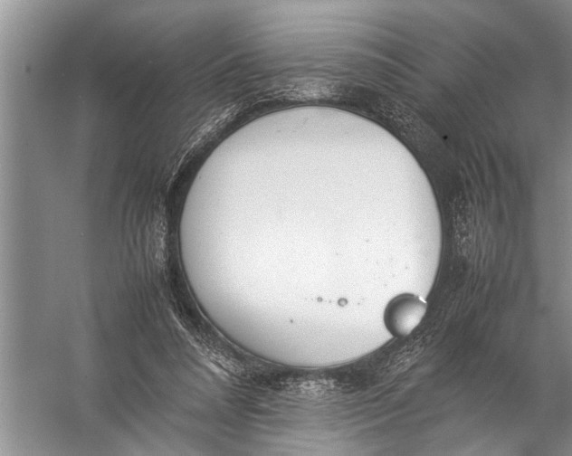 X0000057080304200510010206