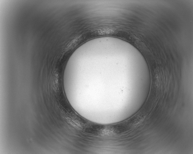 X0000057080308200510010206