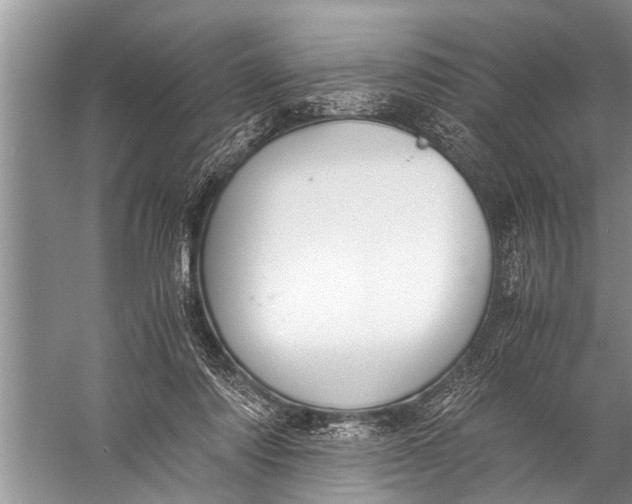 X0000057080310200510010206