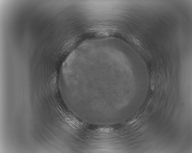 X0000057080314200510010206