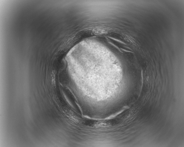 X0000057080315200510010206