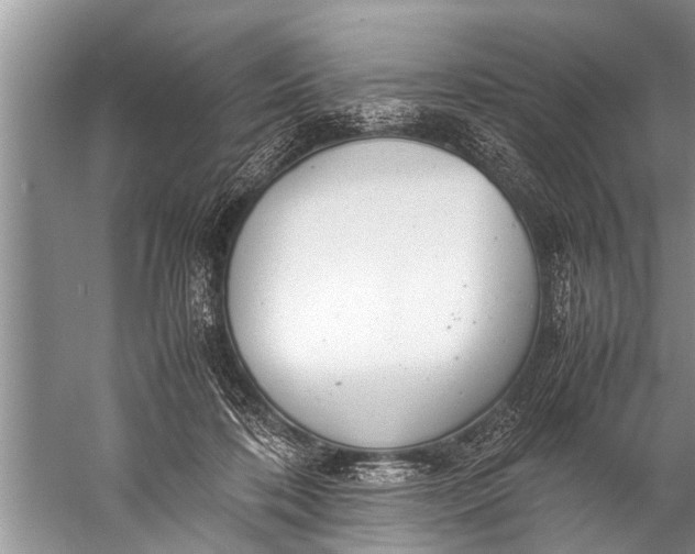 X0000057080316200510010206