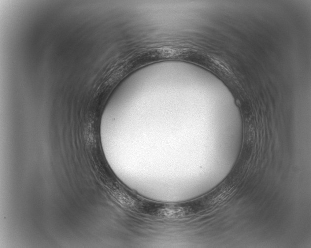 X0000057080317200510010206