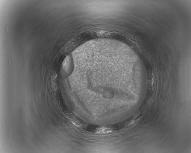 X0000057080319200510010206