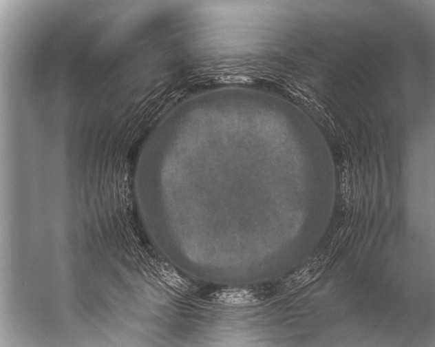 X0000057080322200510010206