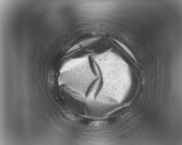 X0000057080323200510010206