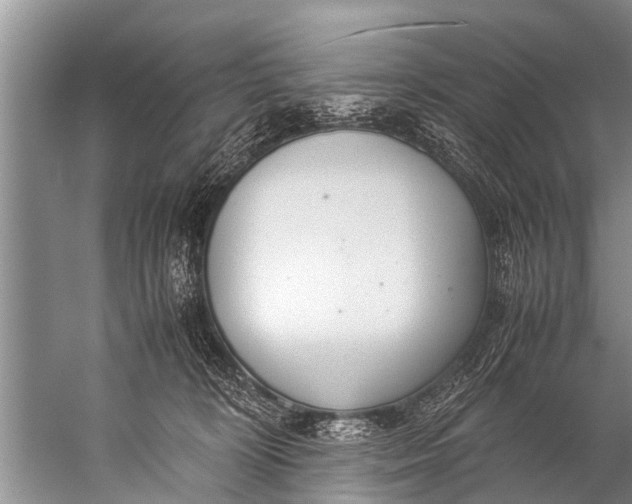 X0000057080324200510010206