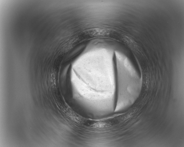 X0000057080326200510010206