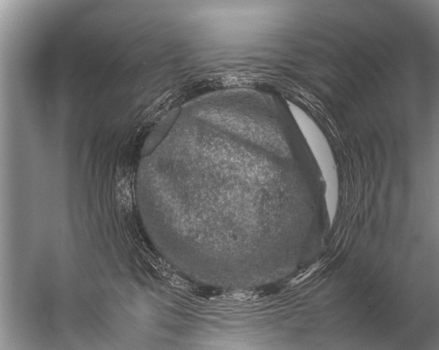 X0000057080329200510010206