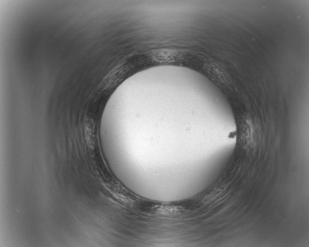 X0000057080332200510010206