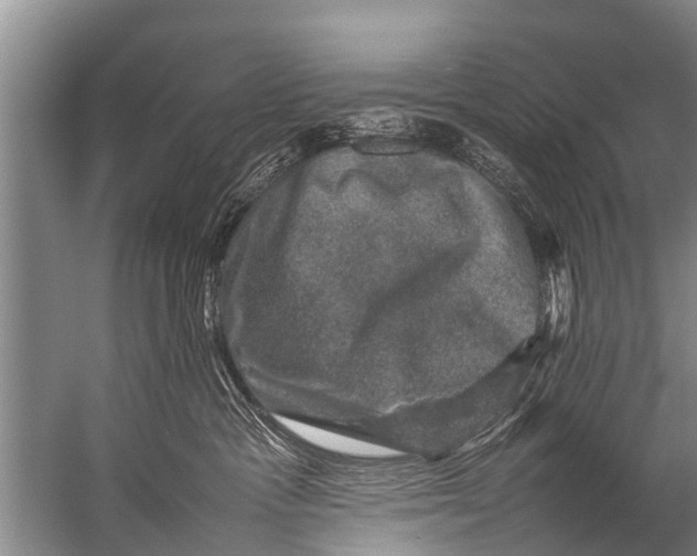 X0000057080333200510010206