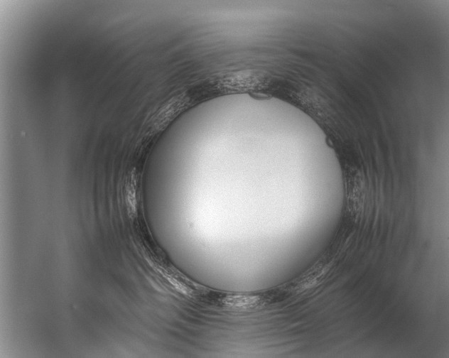 X0000057080334200510010206