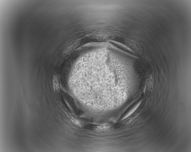 X0000057080335200510010206