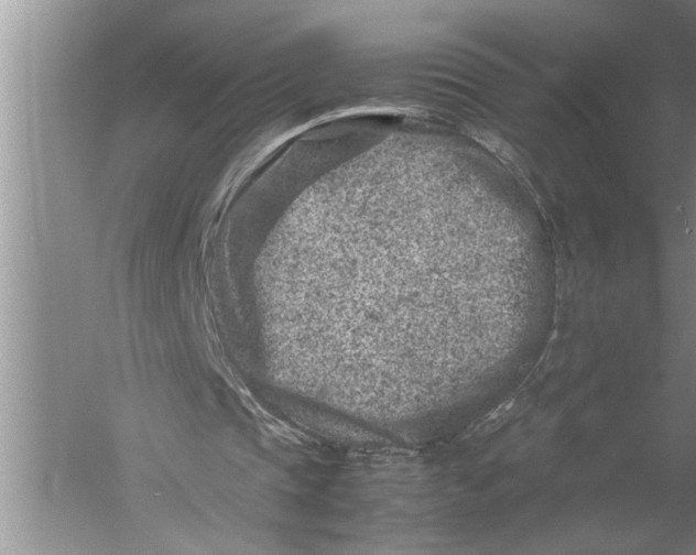 X0000057080337200510010205