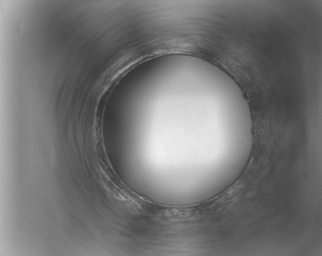 X0000057080338200510010205