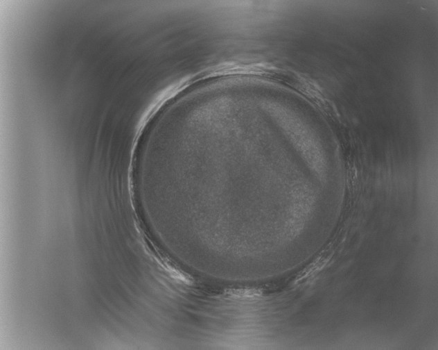 X0000057080340200510010205