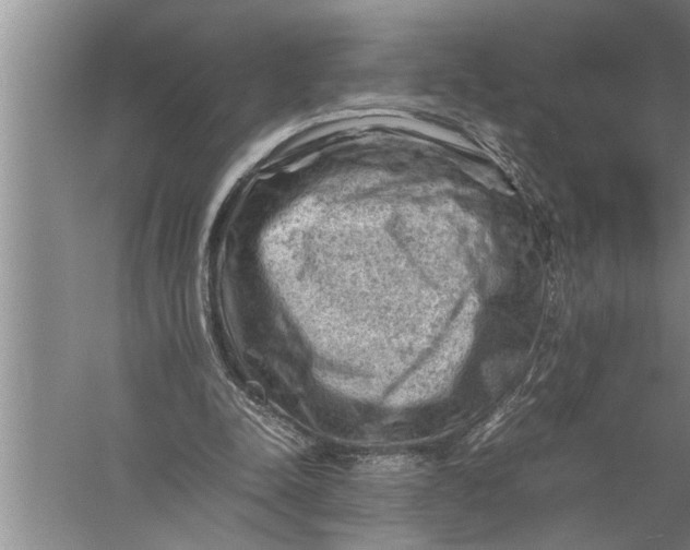 X0000057080342200510010205