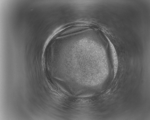 X0000057080343200510010205