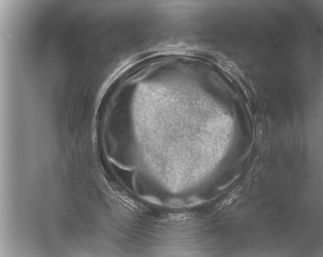 X0000057080344200510010205